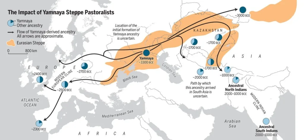 Migration of Yamnaya Steppe Pastoralists to Europe and South Asia